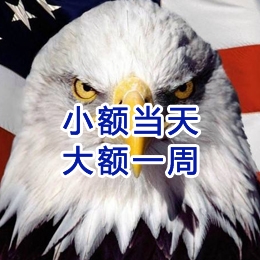 施甸要账公司